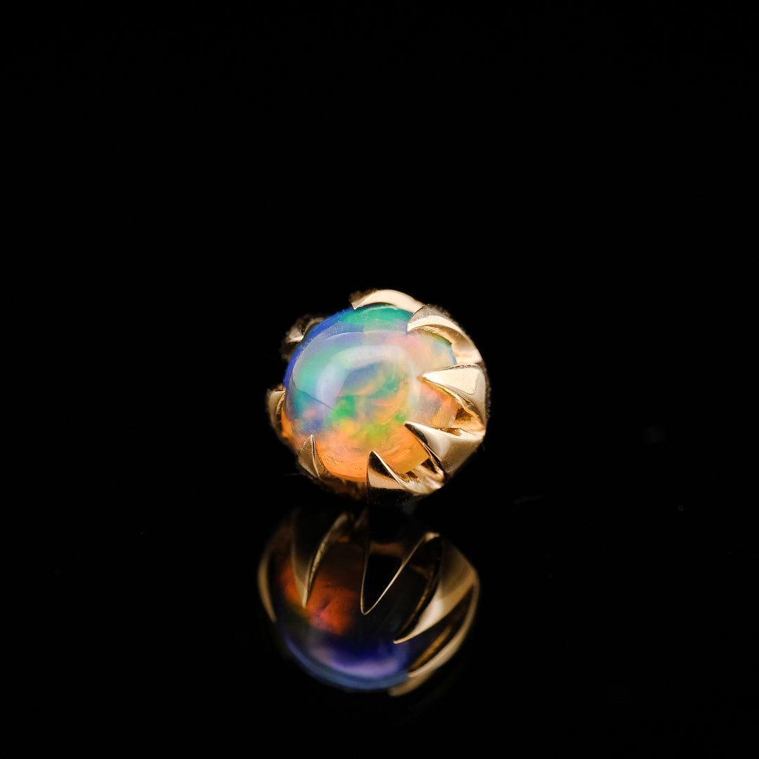 Small Multicolor Dark Opal in Yellow Gold - Threadless end