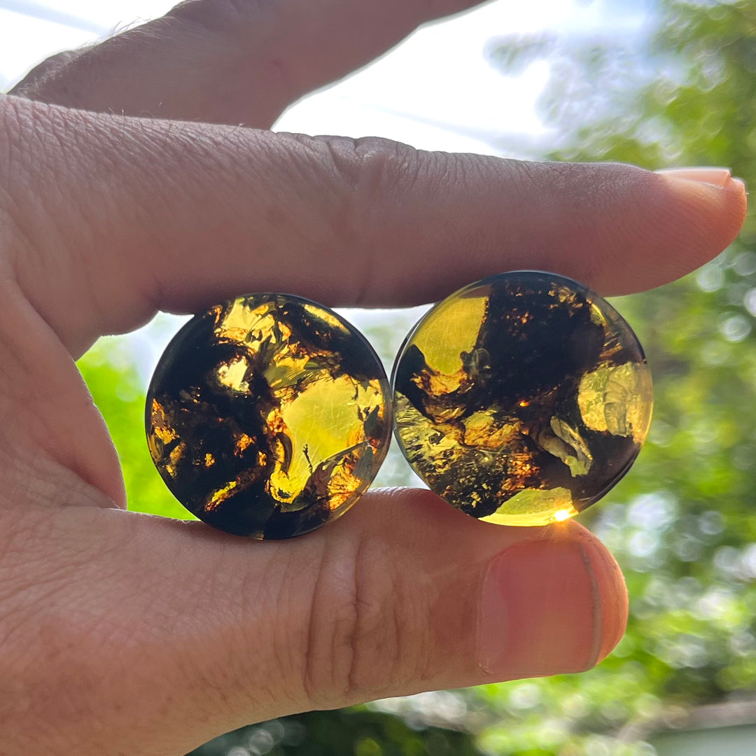 26mm (1") Chiapas Amber Plugs