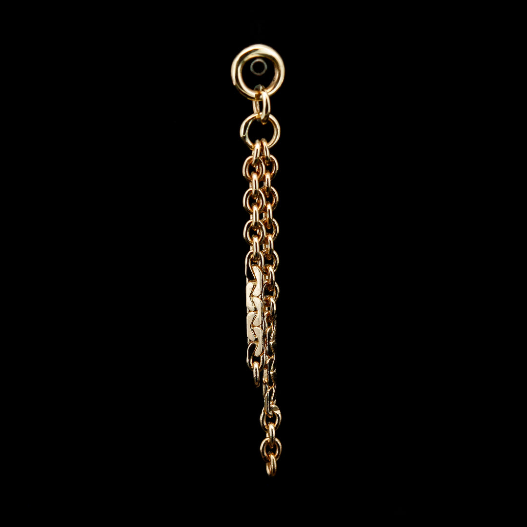 Yellow Gold Dapped Chain Charm