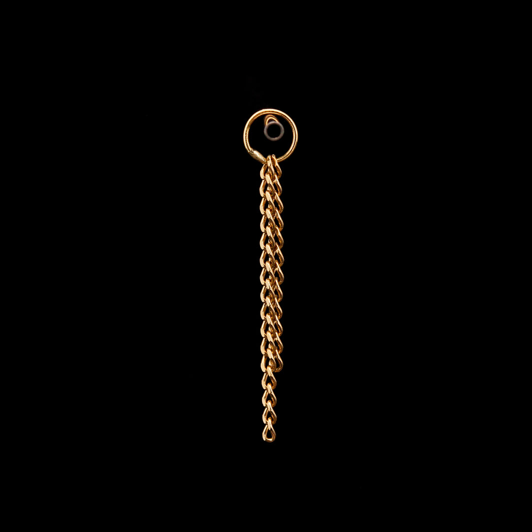 14kt Yellow Gold Double Chain Charm