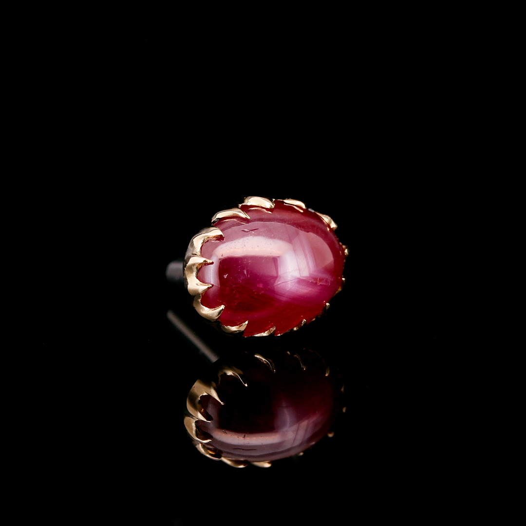 Star Ruby in Yellow Gold - 14ga Threaded end