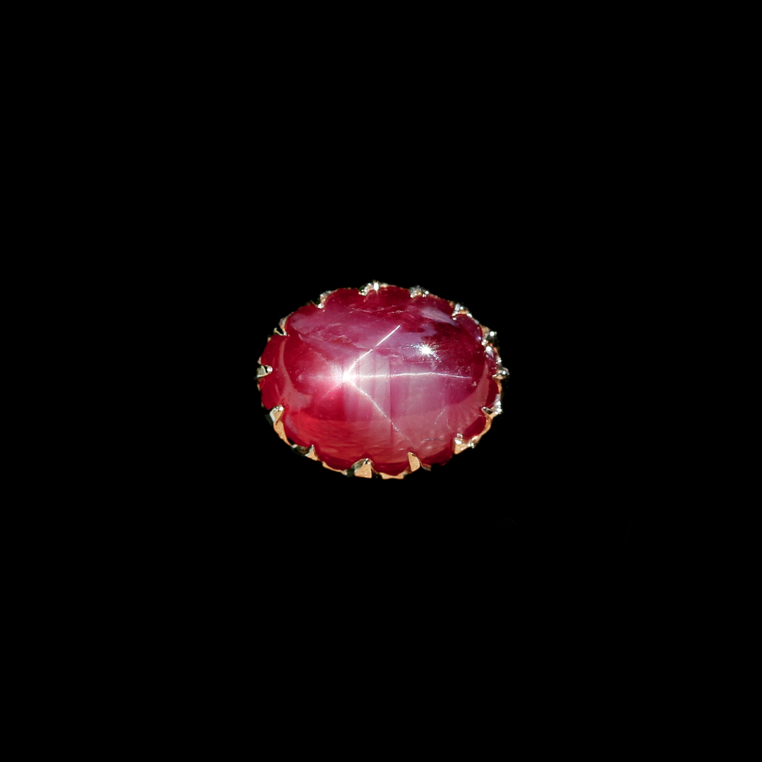 Star Ruby in Yellow Gold - 14ga Threaded end